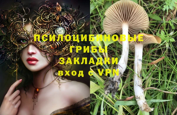 эйфоретик Горняк