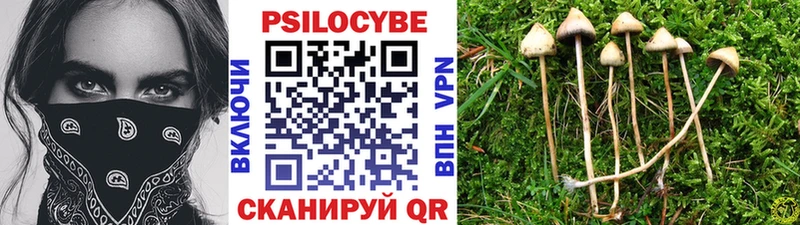 купить наркотики цена  Октябрьск  Галлюциногенные грибы Psilocybine cubensis 